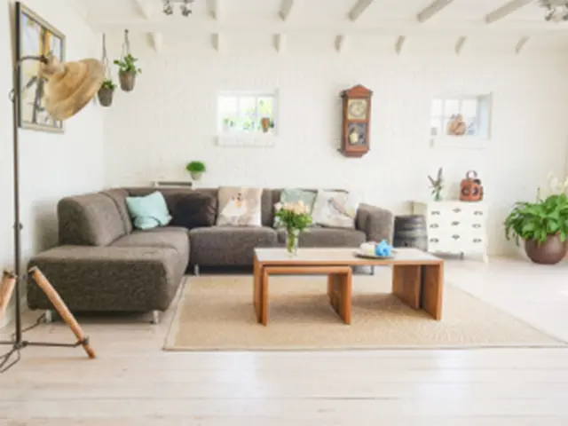 写真：若木のリビング